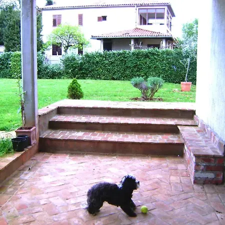 Authentic Istrian Zambratija