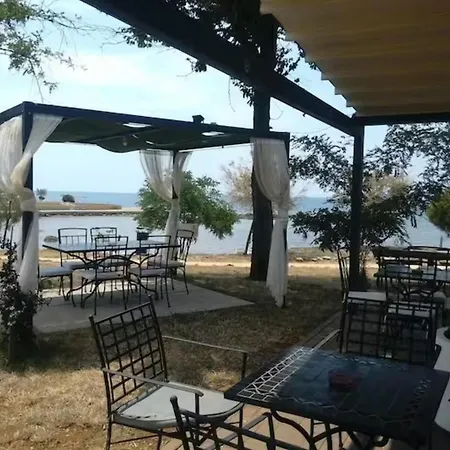Authentic Istrian Zambratija