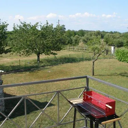 Authentic Istrian Zambratija Savudrija